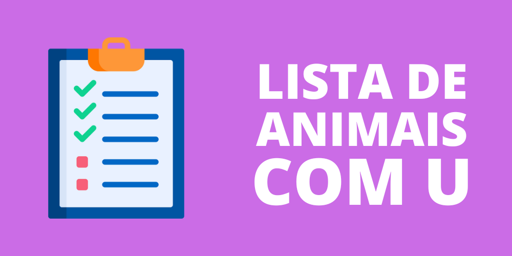 animal com u
