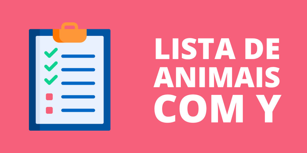 animal com y