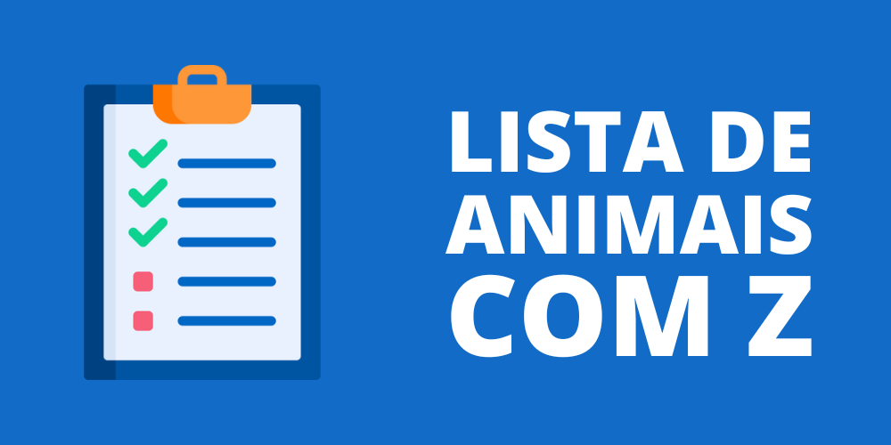 animal com z