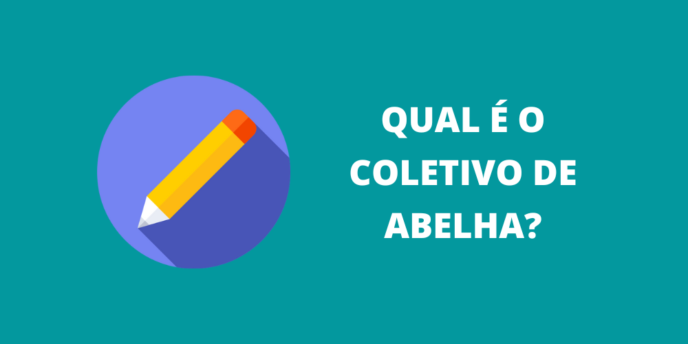 coletivo de abelha