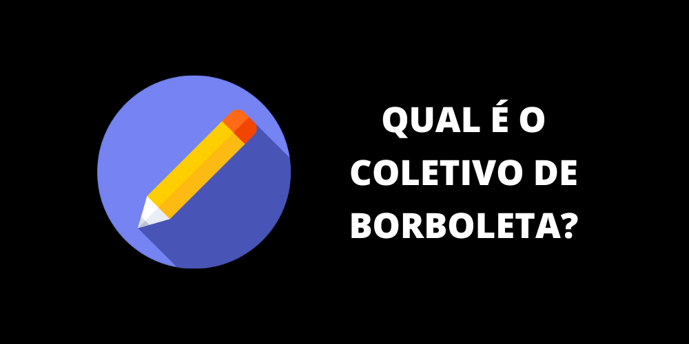 coletivo de borboleta