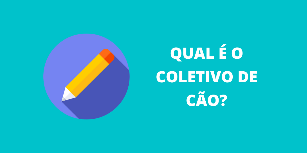 coletivo de cão