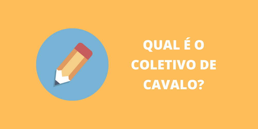 coletivo de cavalo