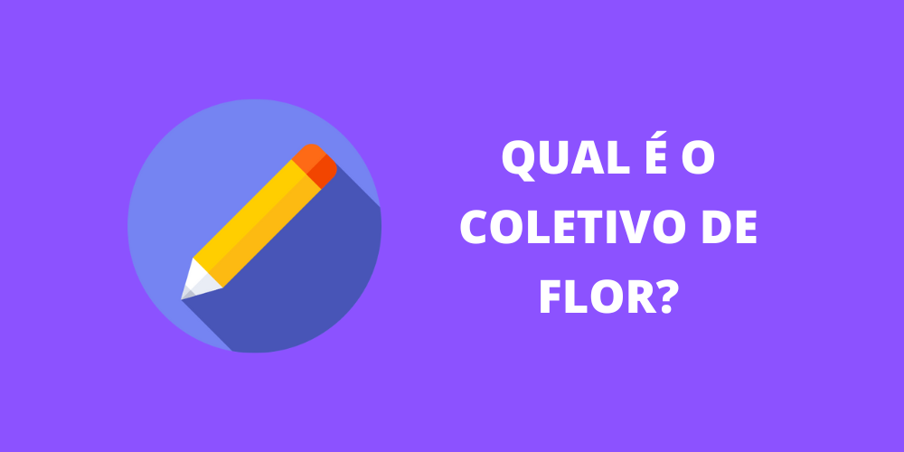 coletivo de flor