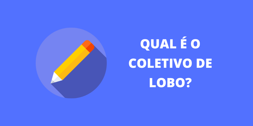 coletivo de lobo