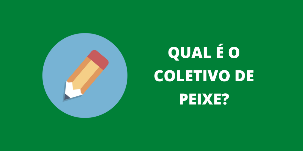 coletivo de peixe