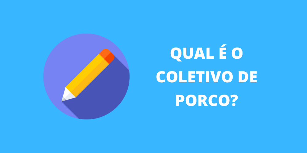 coletivo de porco