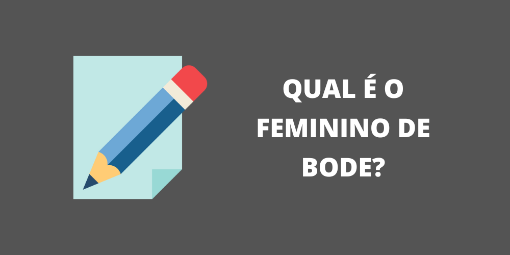 feminino de bode