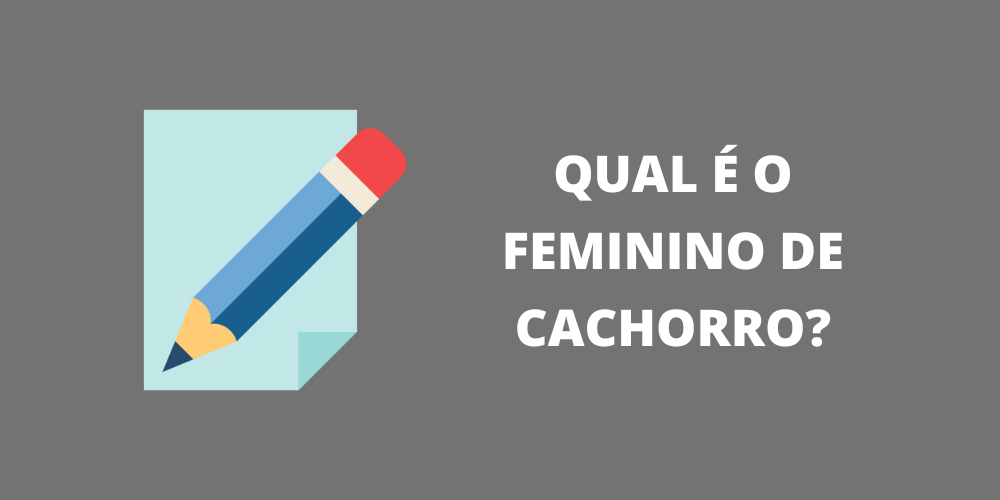 feminino de cachorro