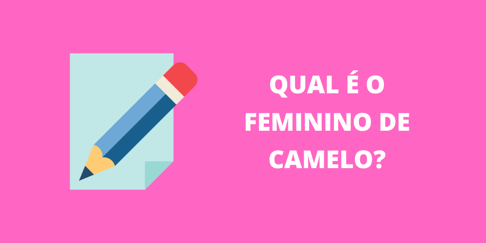 feminino de camelo