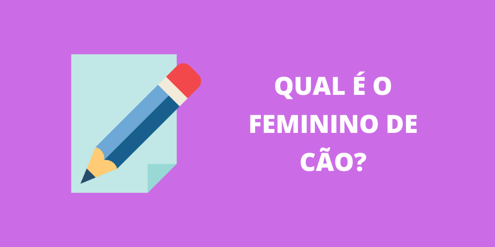 feminino de cão