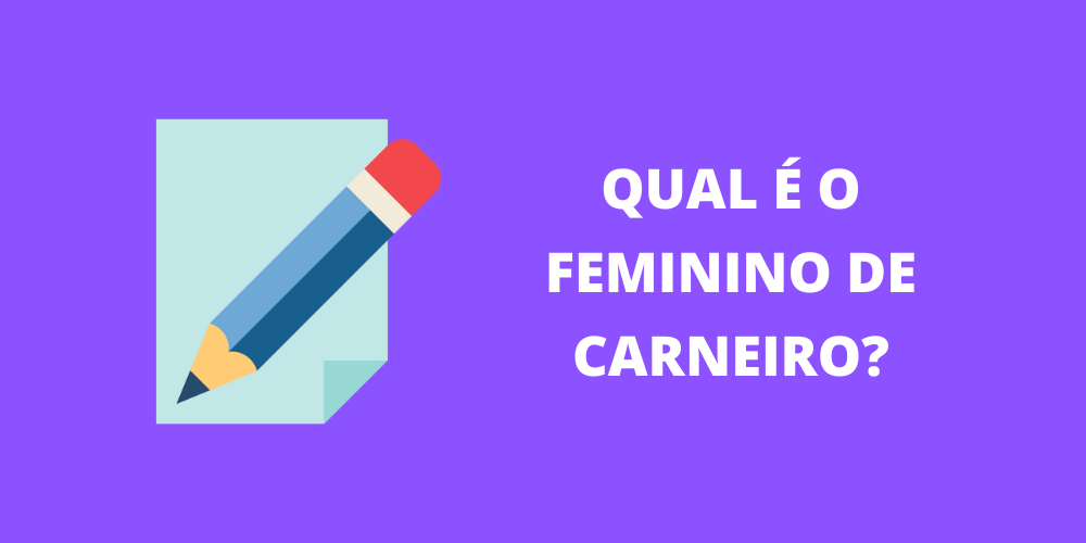 feminino de carneiro