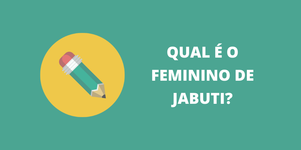 feminino de jabuti