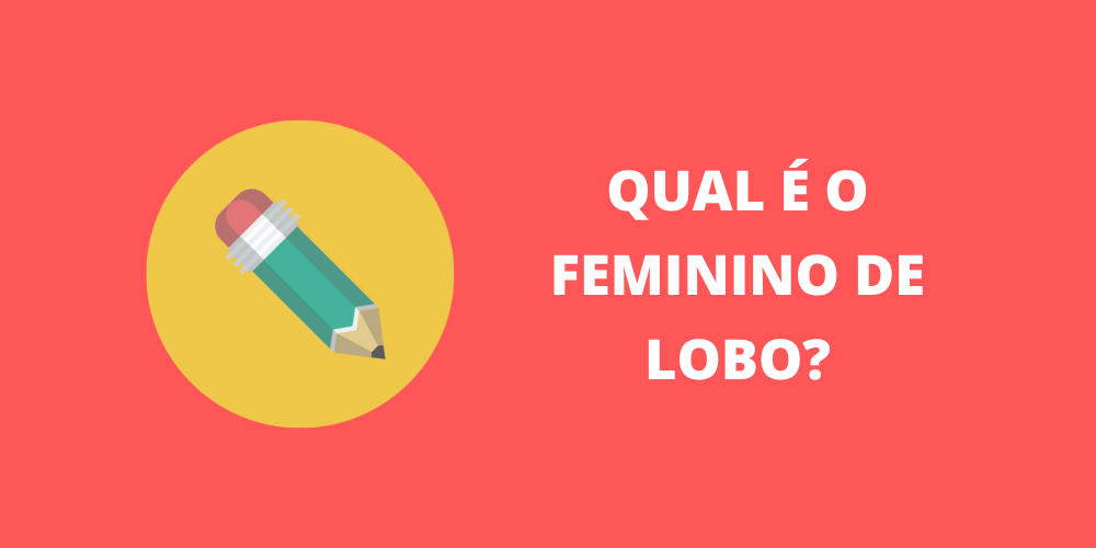 feminino de lobo