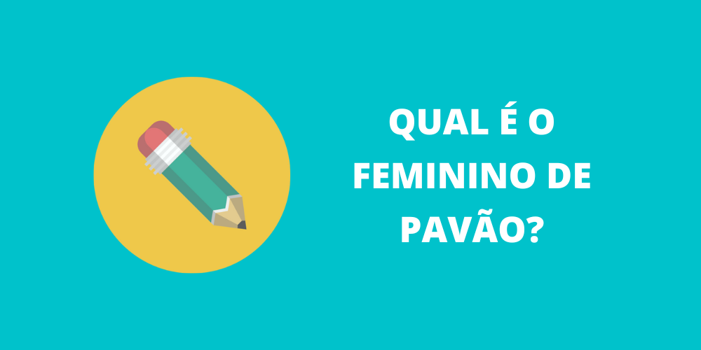 feminino de pavão