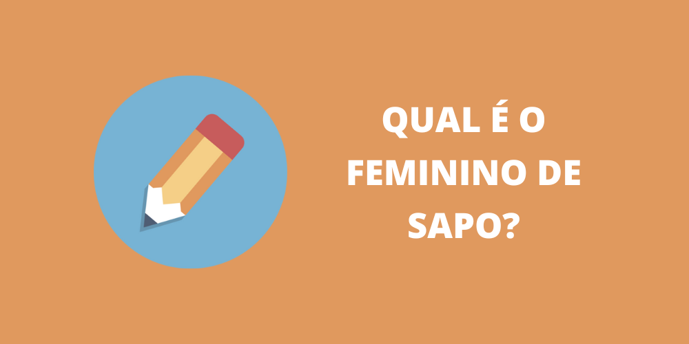 feminino de sapo