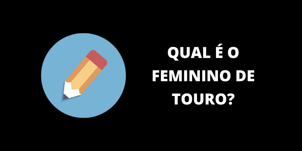 feminino de touro