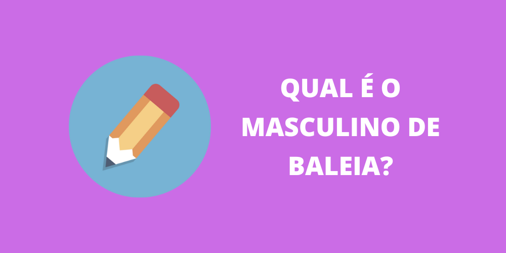 masculino de baleia