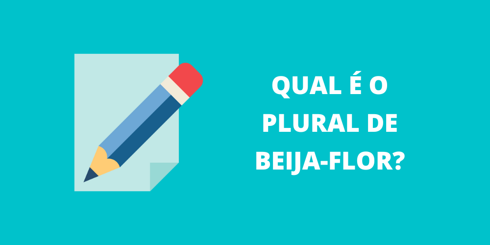 plural de beija-flor